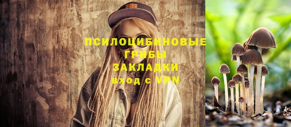 спиды Алексин