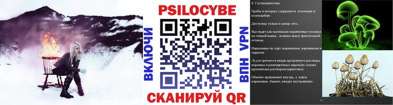 где продают наркотики Микунь Галлюциногенные грибы прущие грибы